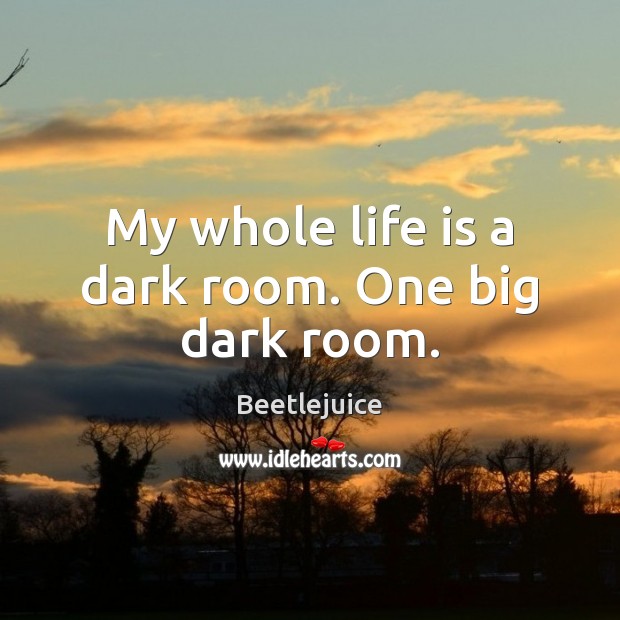 My whole life is a dark room. One big dark room. Beetlejuice Picture Quote