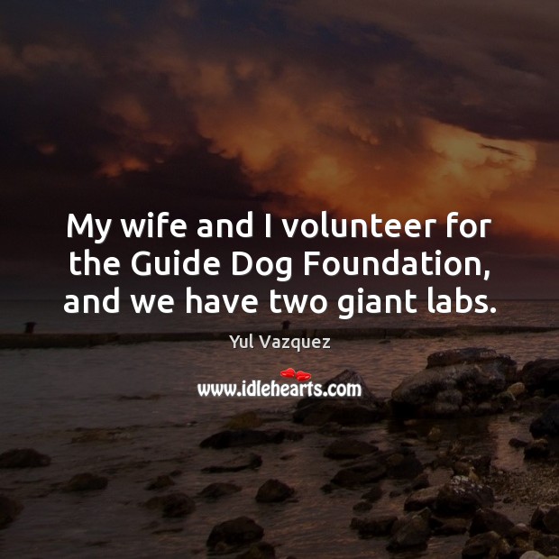 My wife and I volunteer for the Guide Dog Foundation, and we have two giant labs. Image