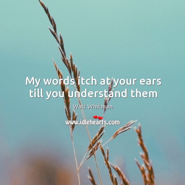 My words itch at your ears till you understand them Image