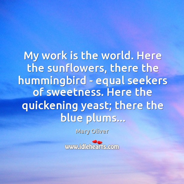 My work is the world. Here the sunflowers, there the hummingbird – Mary Oliver Picture Quote