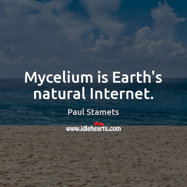 Mycelium is Earth’s natural Internet. Paul Stamets Picture Quote