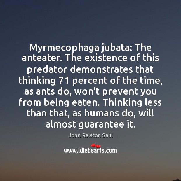 Myrmecophaga jubata: The anteater. The existence of this predator demonstrates that thinking 71 John Ralston Saul Picture Quote
