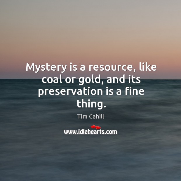 Mystery is a resource, like coal or gold, and its preservation is a fine thing. Tim Cahill Picture Quote