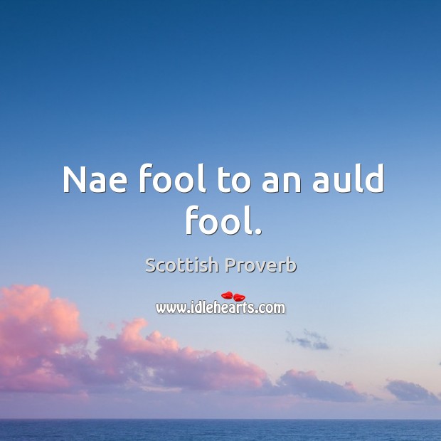 Nae fool to an auld fool. Image
