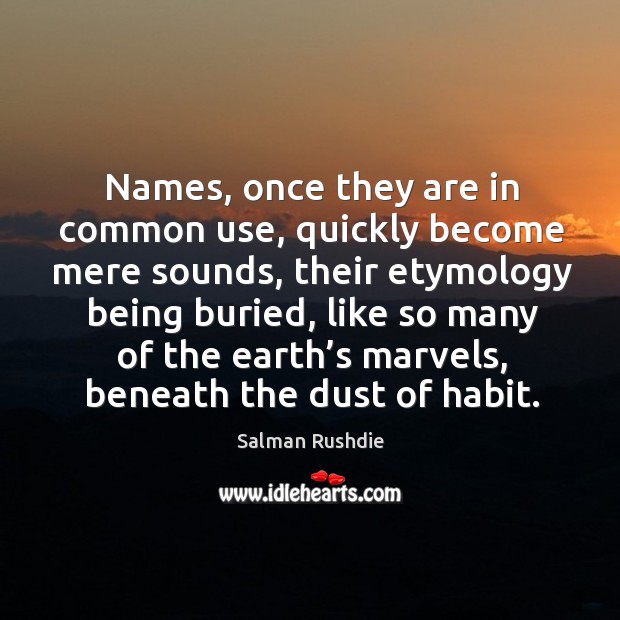 Names, once they are in common use, quickly become mere sounds, their etymology being buried Salman Rushdie Picture Quote