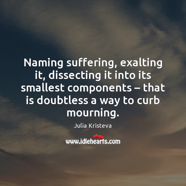 Naming suffering, exalting it, dissecting it into its smallest components – that is 