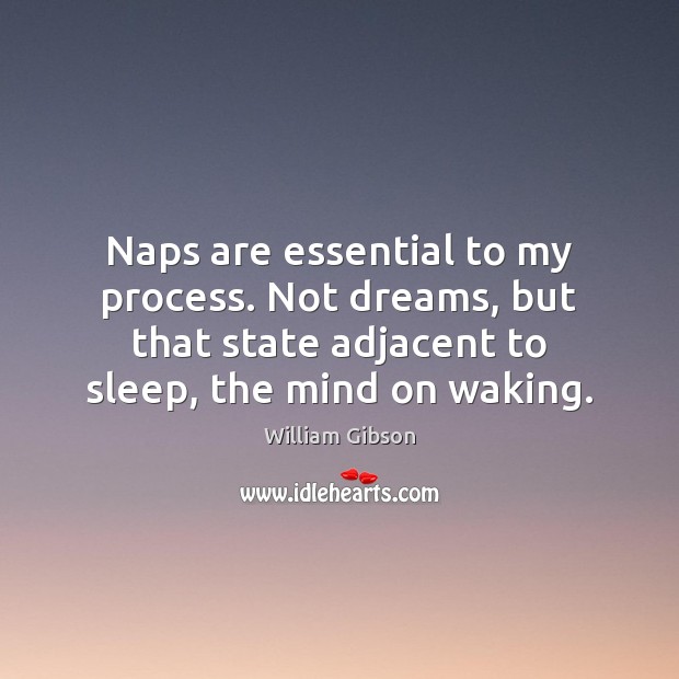Naps are essential to my process. Not dreams, but that state adjacent William Gibson Picture Quote