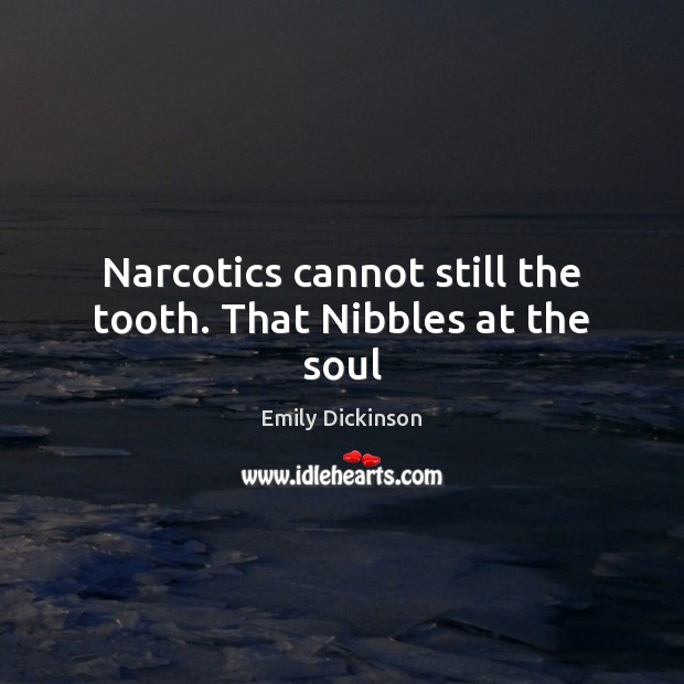 Narcotics cannot still the tooth. That Nibbles at the soul Emily Dickinson Picture Quote