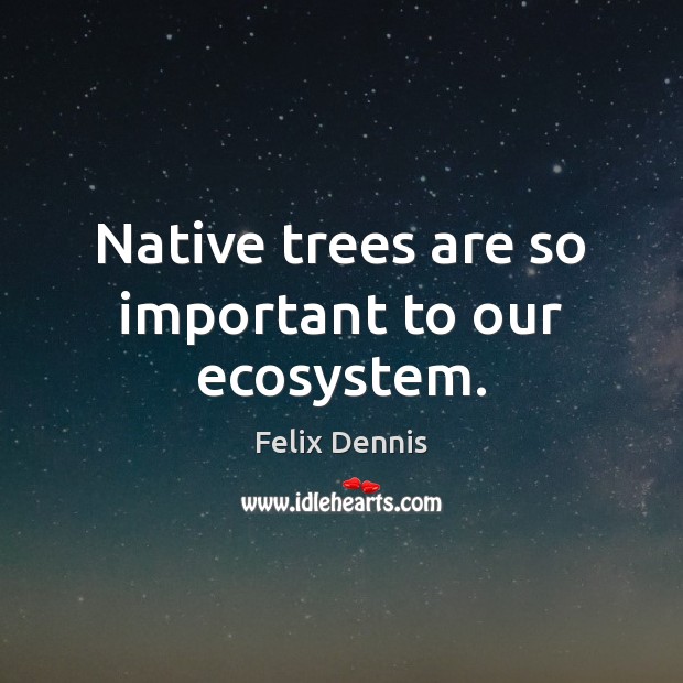 Native trees are so important to our ecosystem. Felix Dennis Picture Quote