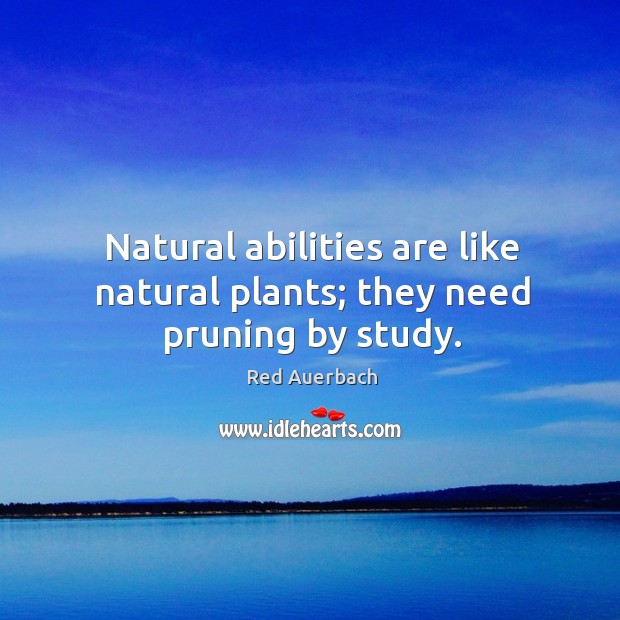 Natural abilities are like natural plants; they need pruning by study. Red Auerbach Picture Quote