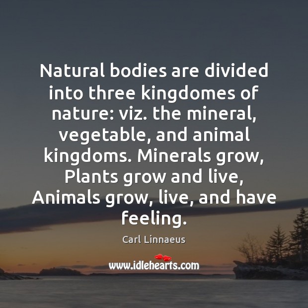 Natural bodies are divided into three kingdomes of nature: viz. the mineral, Carl Linnaeus Picture Quote