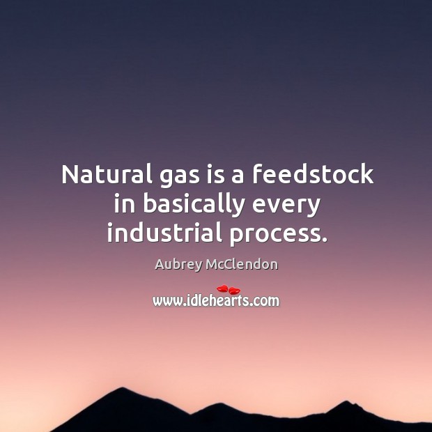 Natural gas is a feedstock in basically every industrial process. Aubrey McClendon Picture Quote