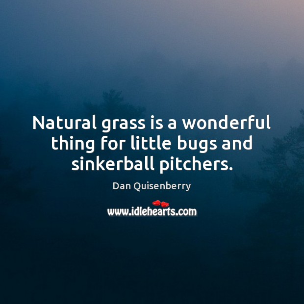 Natural grass is a wonderful thing for little bugs and sinkerball pitchers. Dan Quisenberry Picture Quote
