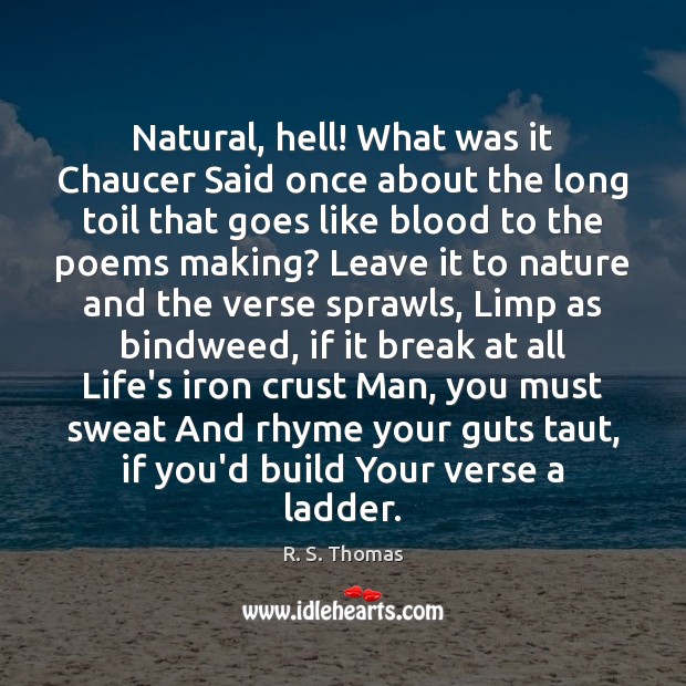 Natural, hell! What was it Chaucer Said once about the long toil R. S. Thomas Picture Quote