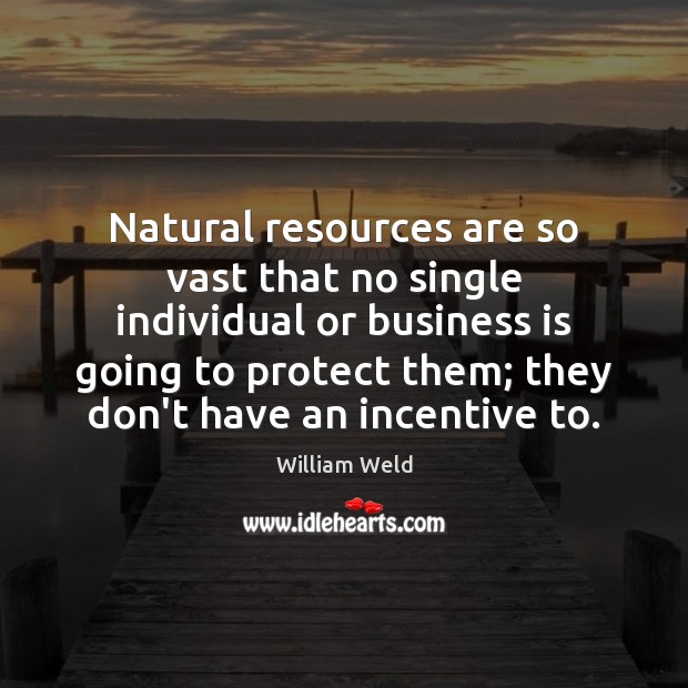 Natural resources are so vast that no single individual or business is William Weld Picture Quote