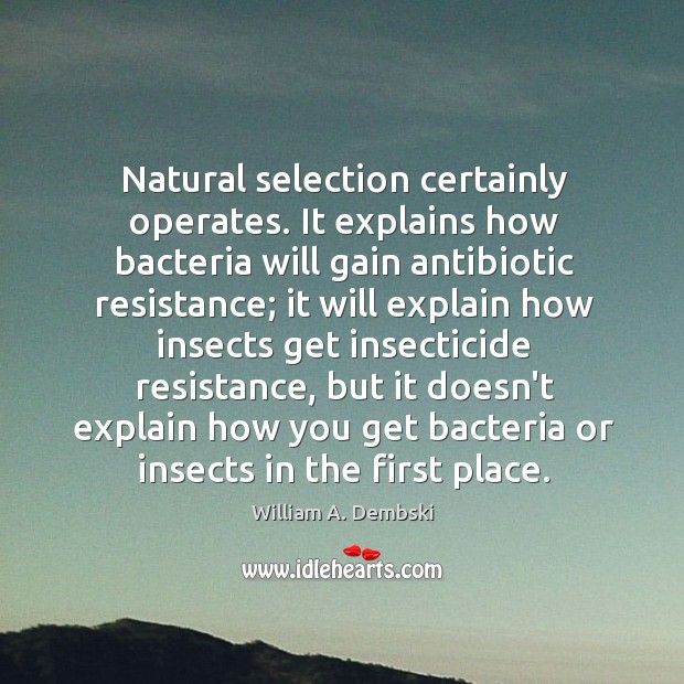 Natural selection certainly operates. It explains how bacteria will gain antibiotic resistance; William A. Dembski Picture Quote