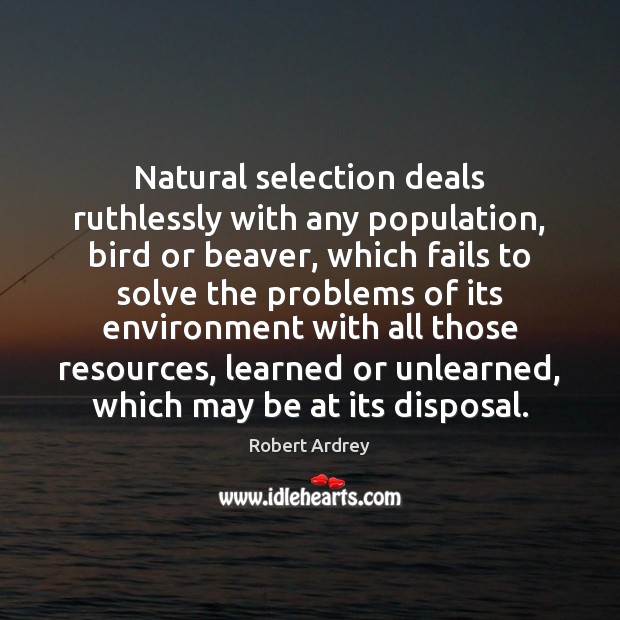 Natural selection deals ruthlessly with any population, bird or beaver, which fails Robert Ardrey Picture Quote