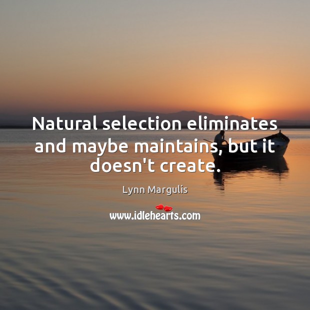 Natural selection eliminates and maybe maintains, but it doesn’t create. Image