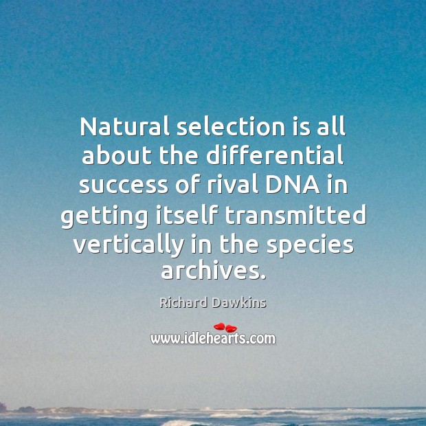 Natural selection is all about the differential success of rival DNA in Richard Dawkins Picture Quote