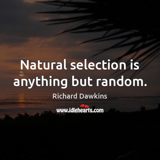 Natural selection is anything but random. Richard Dawkins Picture Quote