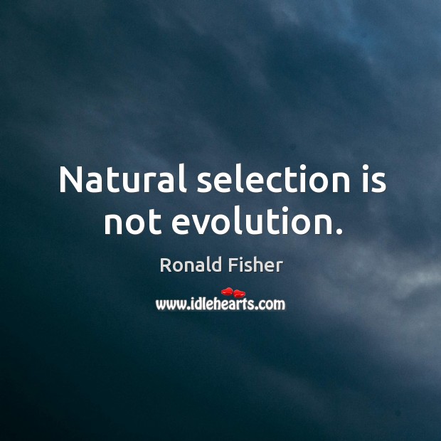 Natural selection is not evolution. Ronald Fisher Picture Quote