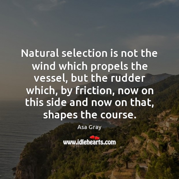 Natural selection is not the wind which propels the vessel, but the 