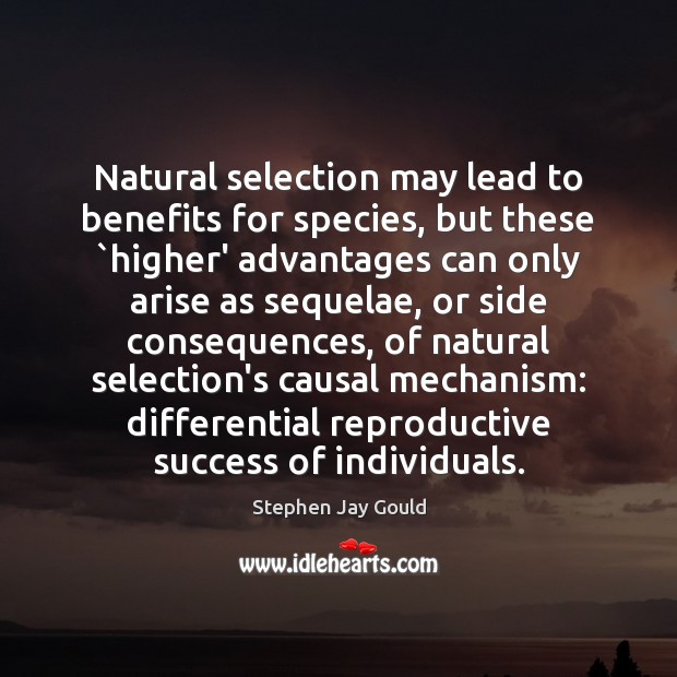 Natural selection may lead to benefits for species, but these `higher’ advantages Stephen Jay Gould Picture Quote
