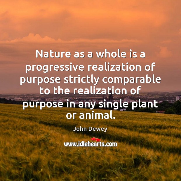 Nature as a whole is a progressive realization of purpose strictly comparable John Dewey Picture Quote