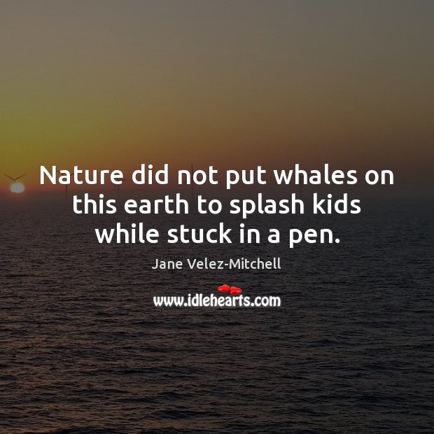 Nature did not put whales on this earth to splash kids while stuck in a pen. Image
