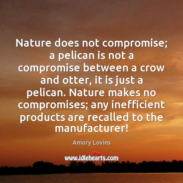 Nature does not compromise; a pelican is not a compromise between a Amory Lovins Picture Quote