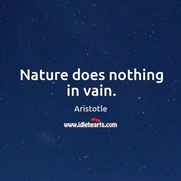 Nature does nothing in vain. Image