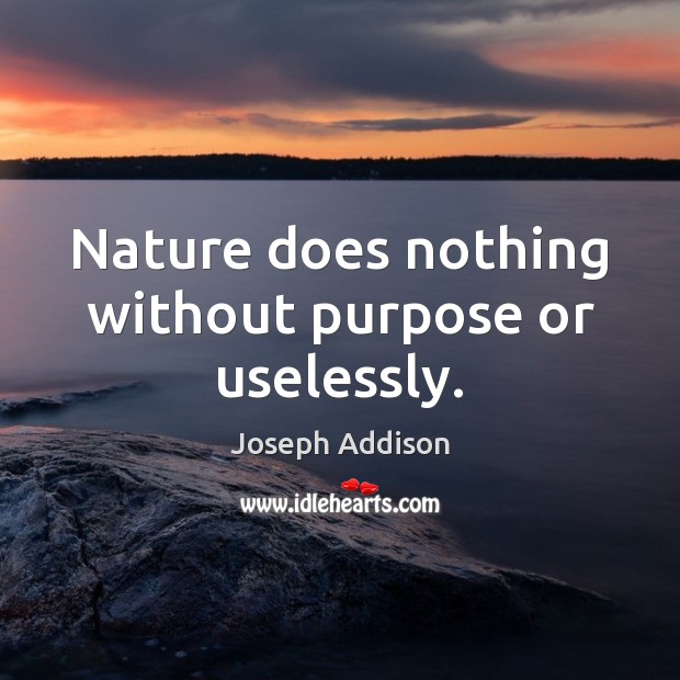 Nature does nothing without purpose or uselessly. Image