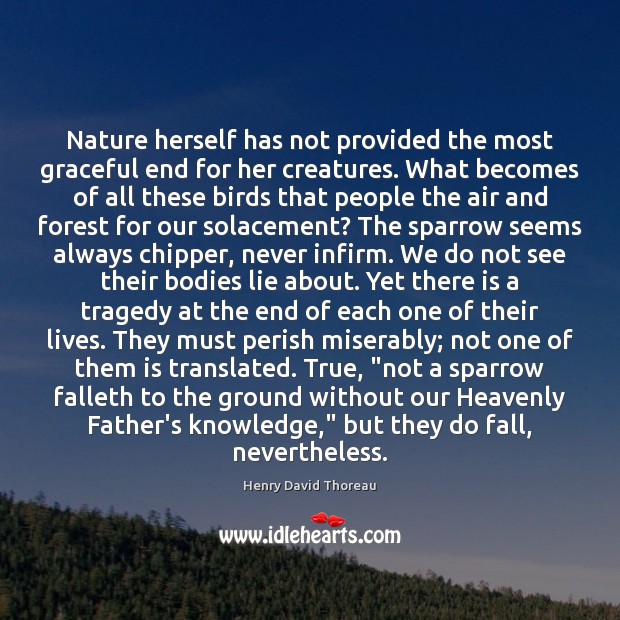 Nature herself has not provided the most graceful end for her creatures. Image