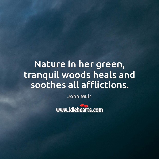 Nature in her green, tranquil woods heals and soothes all afflictions. John Muir Picture Quote