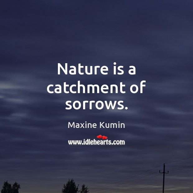 Nature is a catchment of sorrows. Image