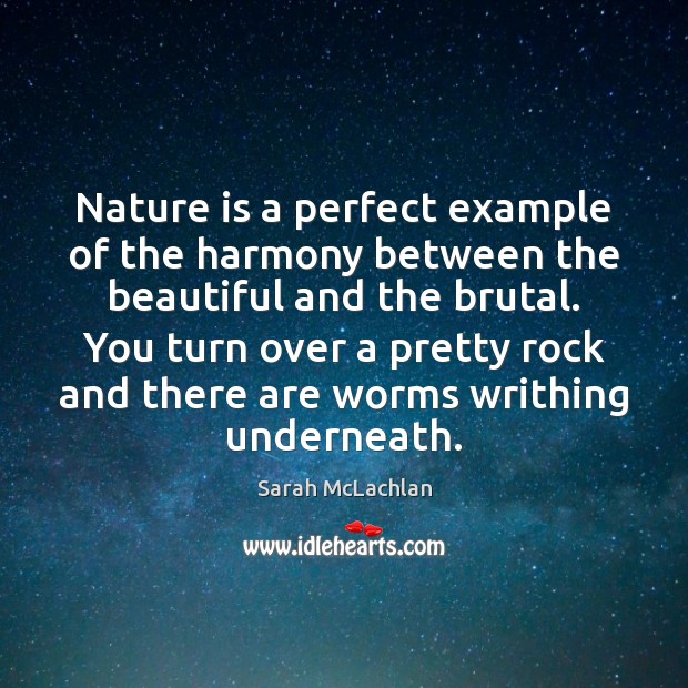Nature is a perfect example of the harmony between the beautiful and Sarah McLachlan Picture Quote