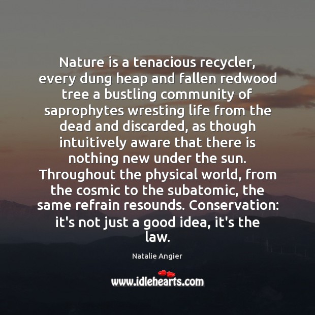 Nature is a tenacious recycler, every dung heap and fallen redwood tree 