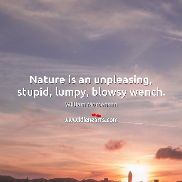 Nature is an unpleasing, stupid, lumpy, blowsy wench. Image