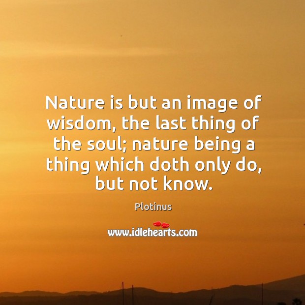 Nature is but an image of wisdom, the last thing of the Image