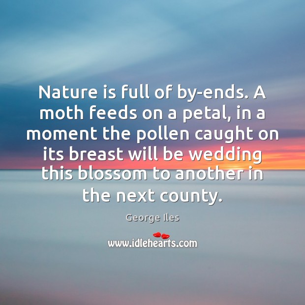 Nature is full of by-ends. A moth feeds on a petal, in George Iles Picture Quote