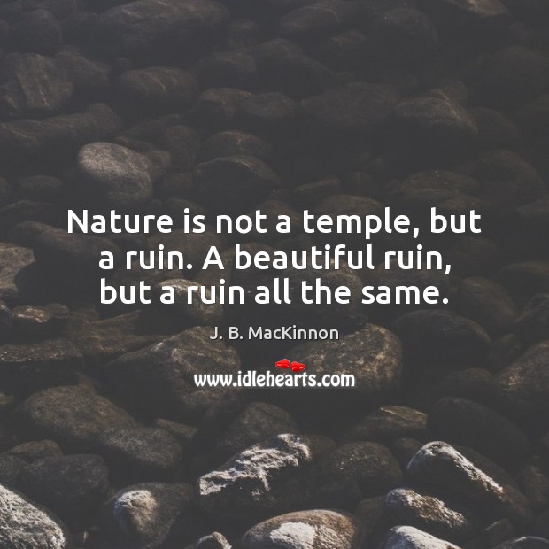 Nature is not a temple, but a ruin. A beautiful ruin, but a ruin all the same. 