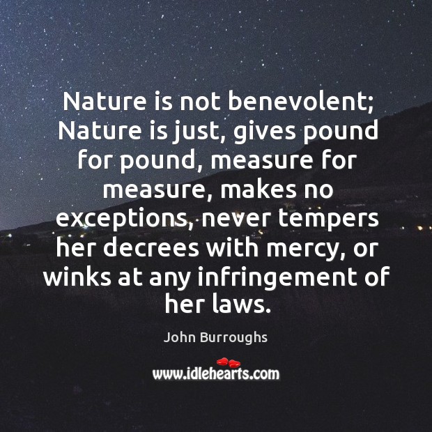 Nature is not benevolent; Nature is just, gives pound for pound, measure John Burroughs Picture Quote