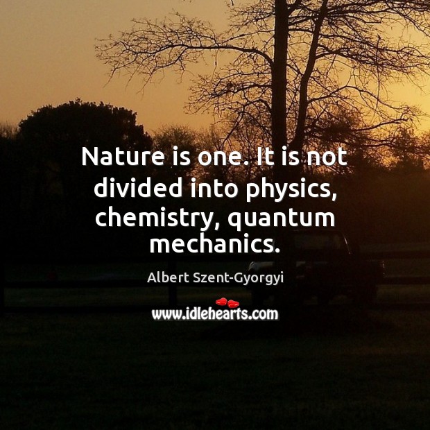 Nature is one. It is not divided into physics, chemistry, quantum mechanics. Image