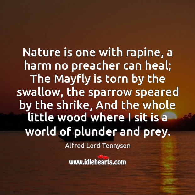 Nature is one with rapine, a harm no preacher can heal; The Alfred Lord Tennyson Picture Quote