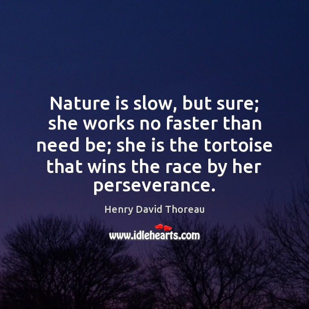 Nature is slow, but sure; she works no faster than need be; Henry David Thoreau Picture Quote