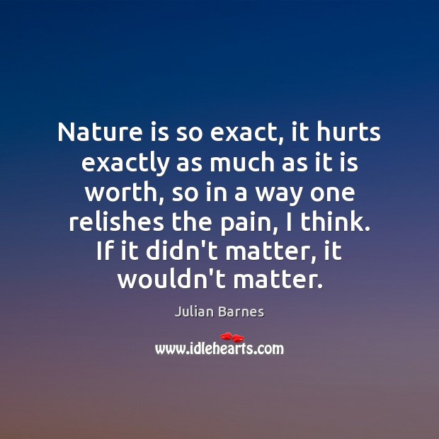 Nature is so exact, it hurts exactly as much as it is Julian Barnes Picture Quote