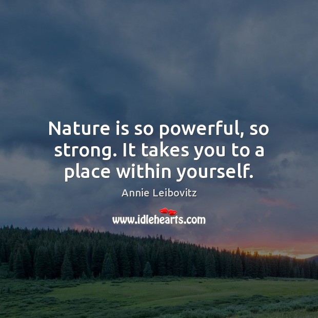 Nature is so powerful, so strong. It takes you to a place within yourself. Annie Leibovitz Picture Quote