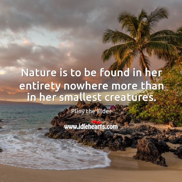 Nature is to be found in her entirety nowhere more than in her smallest creatures. Pliny the Elder Picture Quote