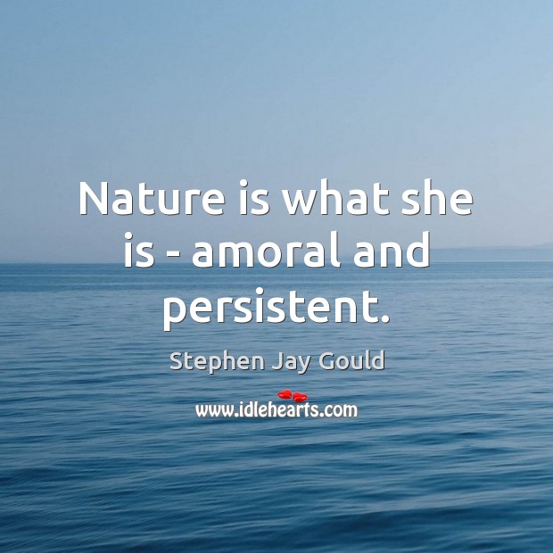 Nature is what she is – amoral and persistent. Stephen Jay Gould Picture Quote