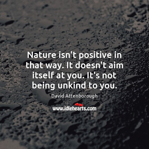 Nature isn’t positive in that way. It doesn’t aim itself at you. Image